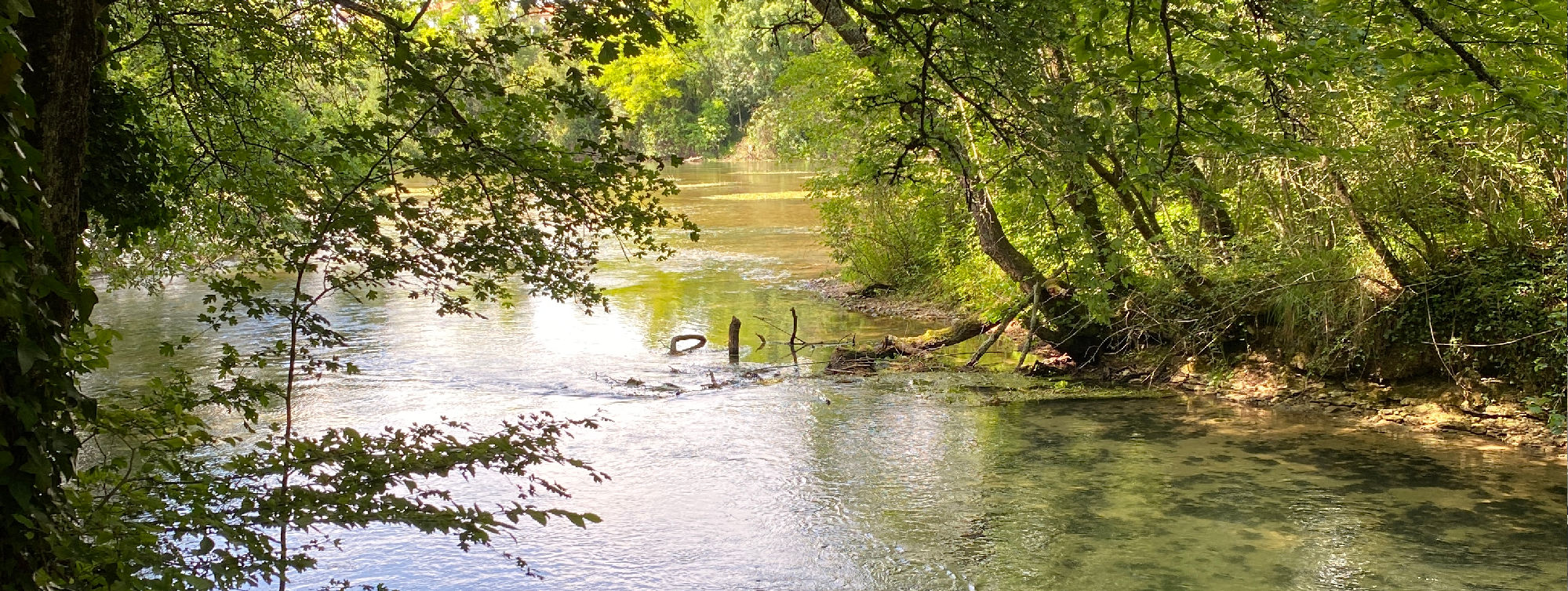 Rivière Touvre 1 ©Chateau de Maumont